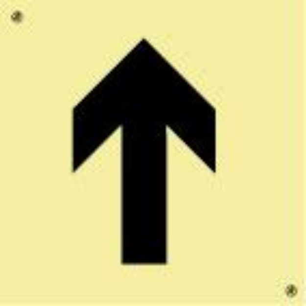 VERVALLEN Low location lighting, self-adhesive photoluminesc